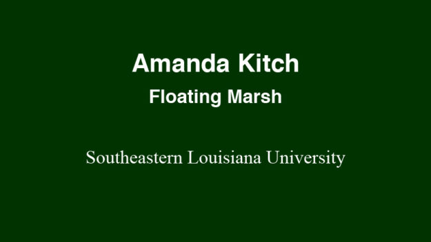 kitch-floatingmarsh